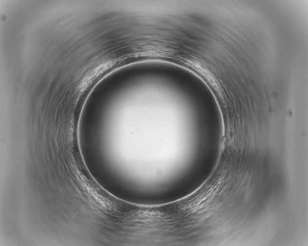 X0000088050437200705111311