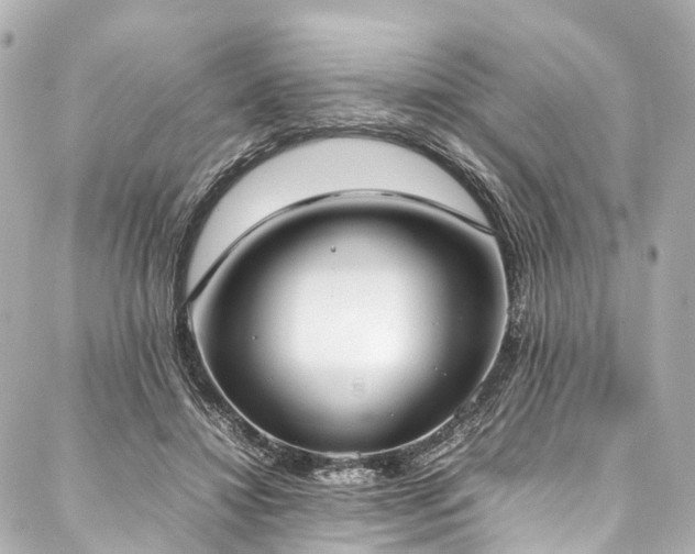 X0000088050452200705111311