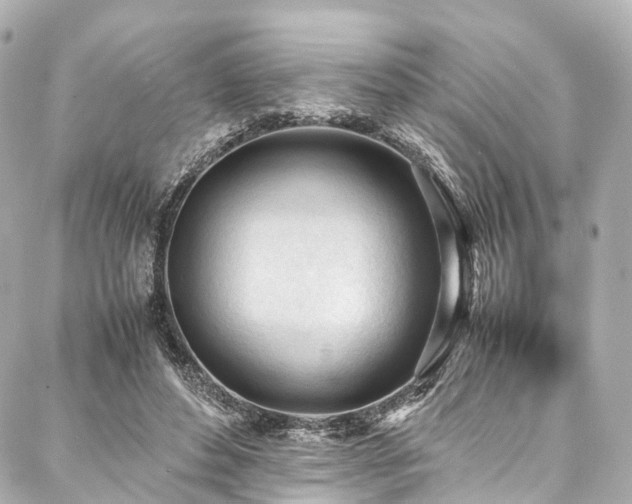 X0000088050496200705111310