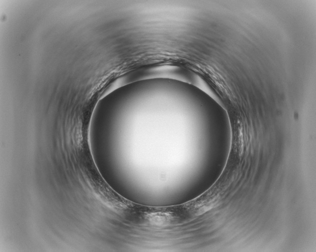 X0000088050508200705111310