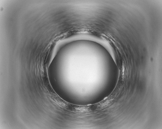 X0000088050516200705111310