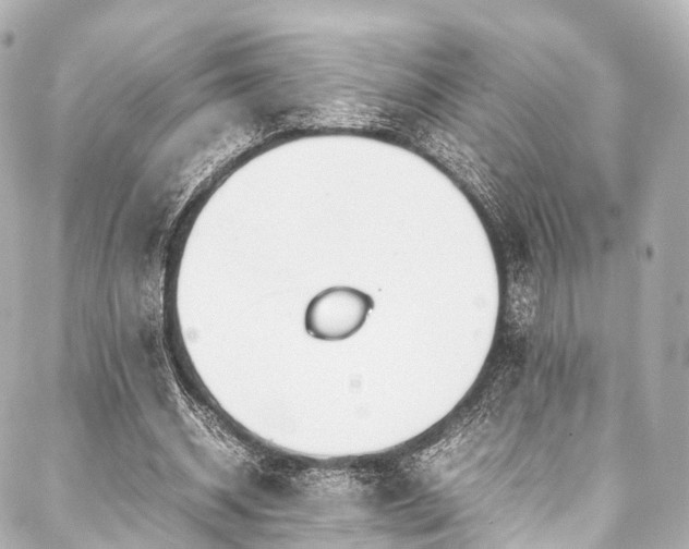 X0000088050534200705111309