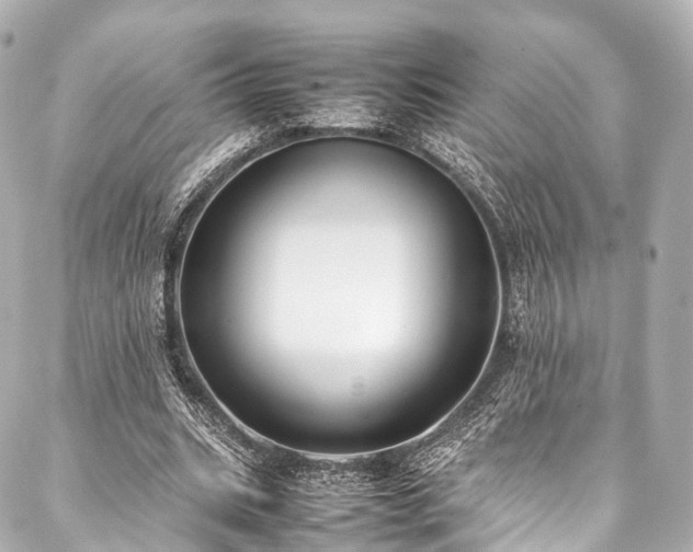 X0000088050535200705111309