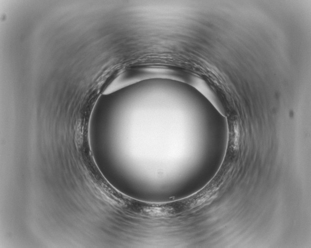 X0000088050558200705111309