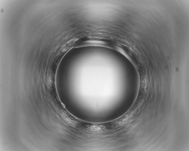 X0000088050566200705111310