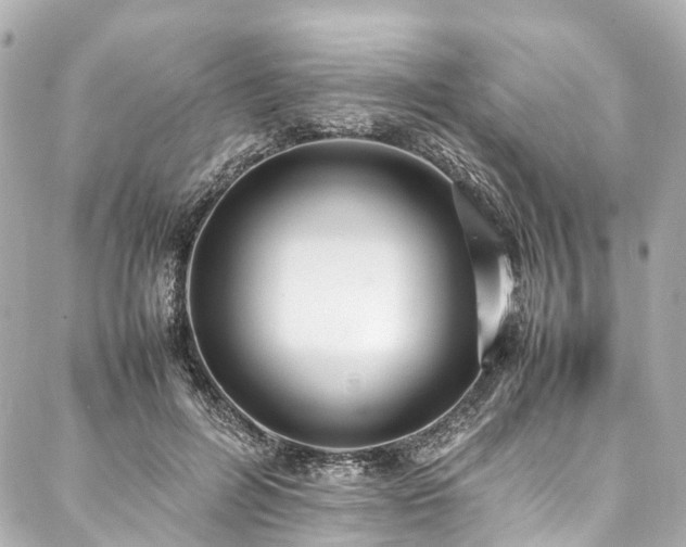 X0000088050600200705111309