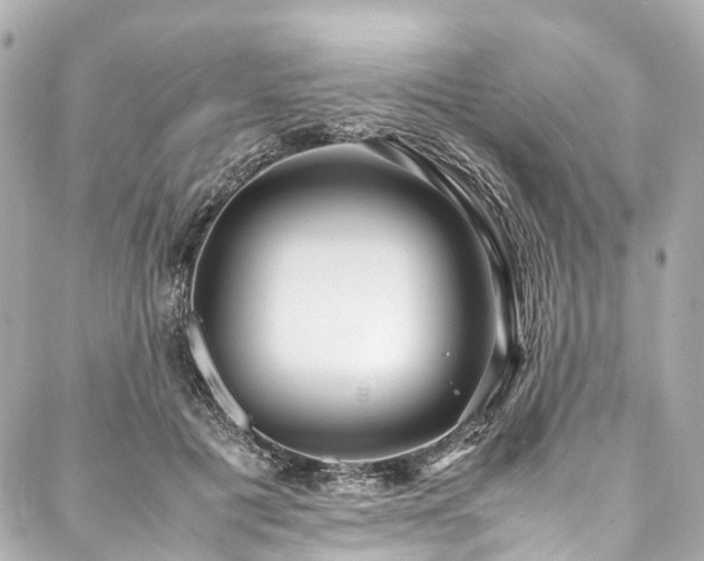 X0000088050601200705111308