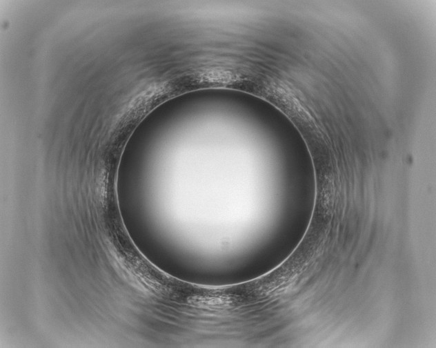 X0000088050639200705111308