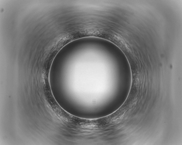 X0000088050643200705111308