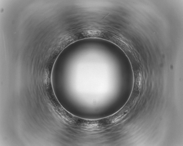 X0000088050651200705111308