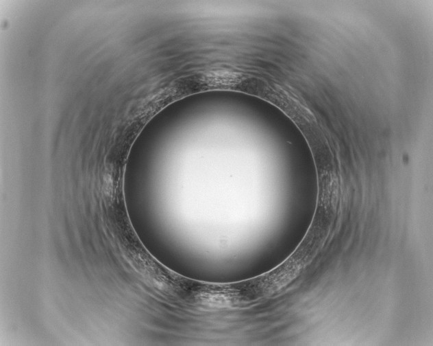 X0000088050655200705111308