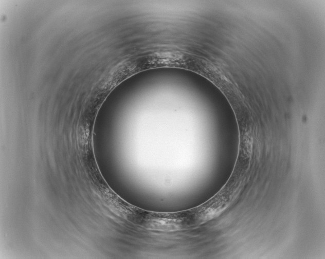 X0000088050657200705111308