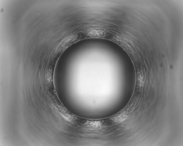 X0000088050665200705111308