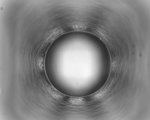 X0000088050671200705111308