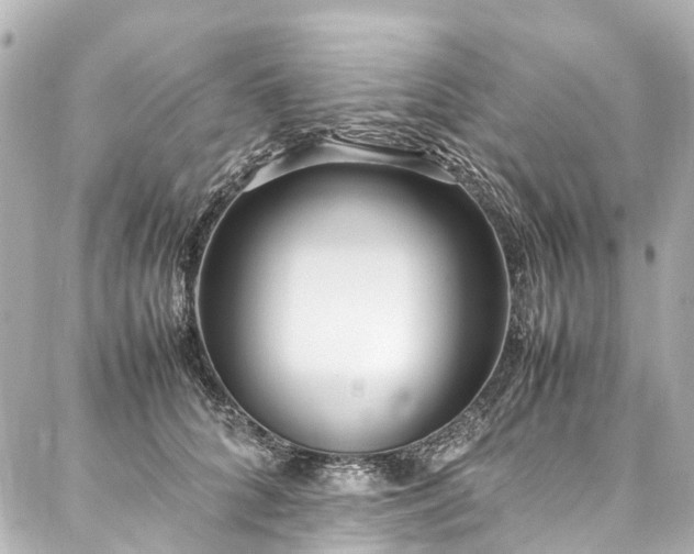 X0000088050704200705111307