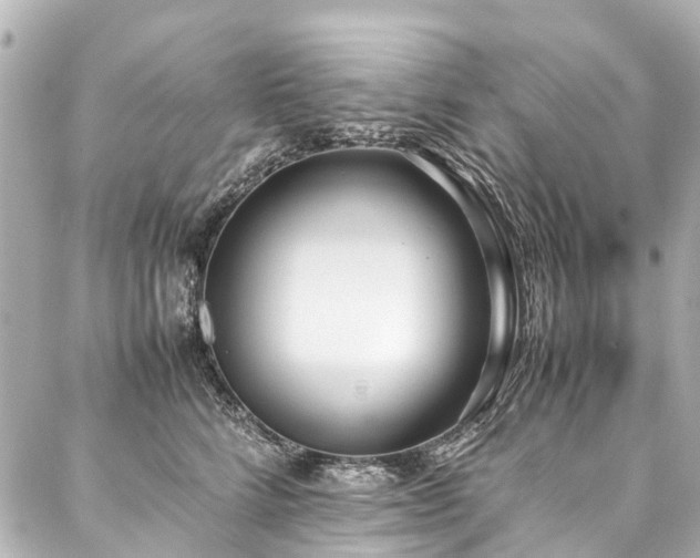 X0000088050712200705111307