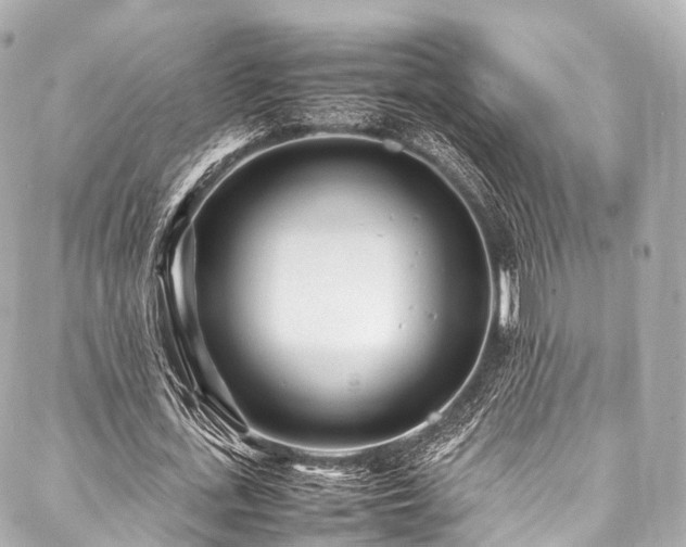 X0000088050723200705111306