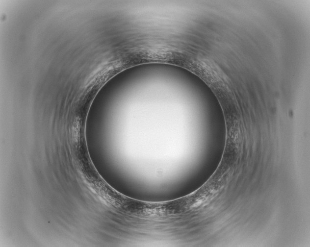 X0000088050744200705111306
