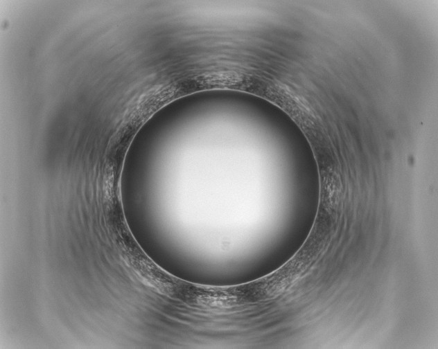 X0000088050745200705111306