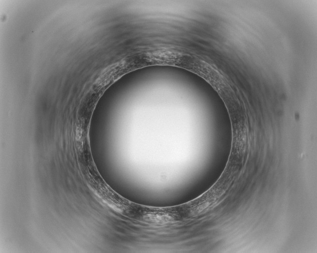 X0000088050749200705111306