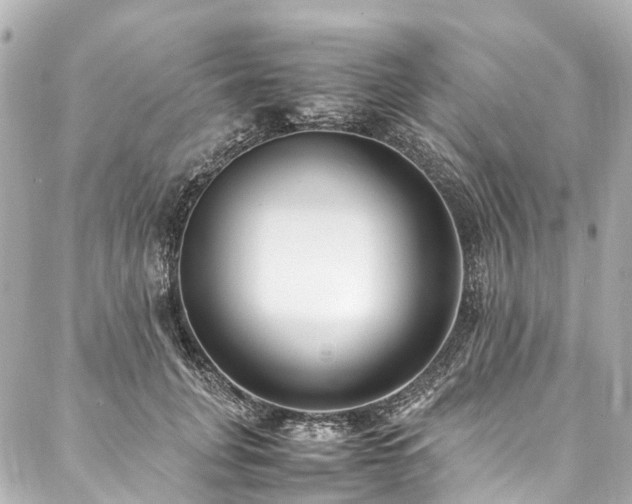 X0000088050751200705111306