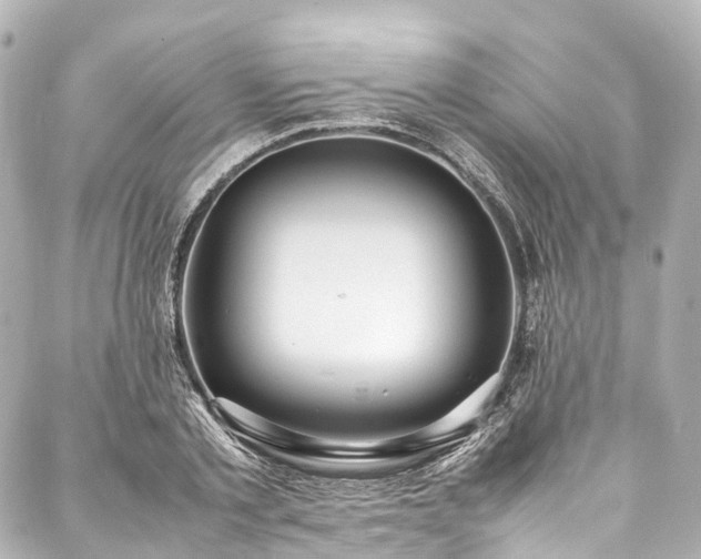 X0000088050789200705111305