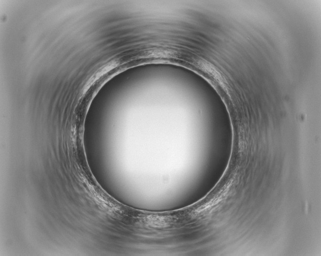 X0000088050827200705111304