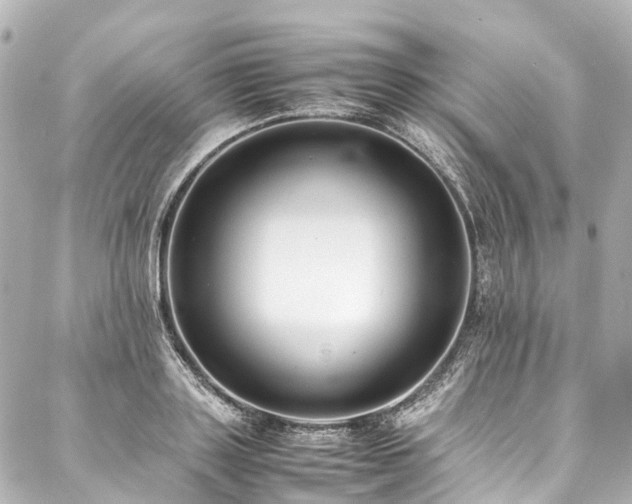 X0000088050843200705111305