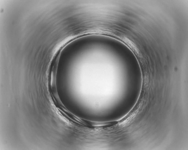 X0000088050854200705111305