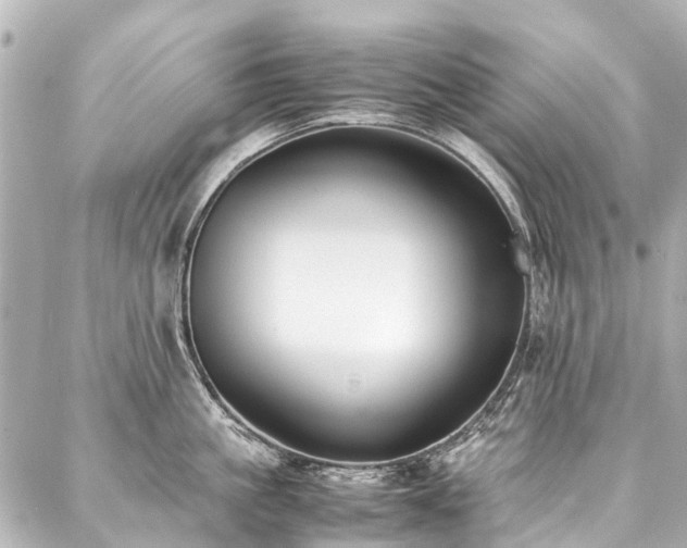 X0000088050861200705111305