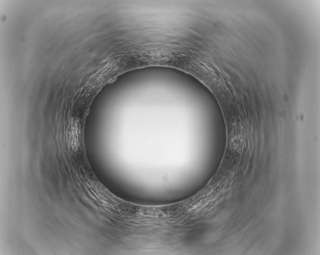 X0000088050866200705111304