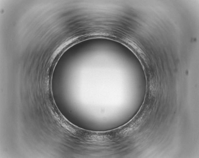 X0000088050933200705111303