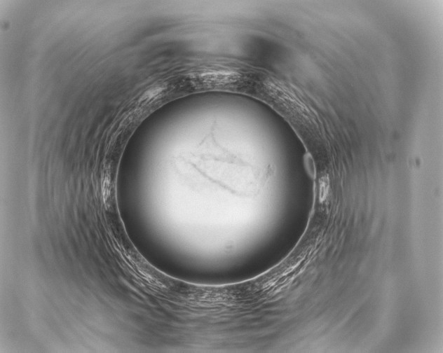 X0000088051011200705111301