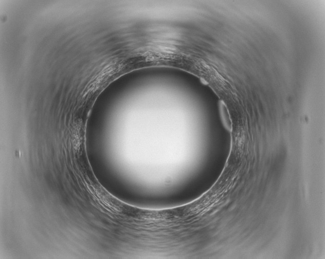 X0000088051012200705111301