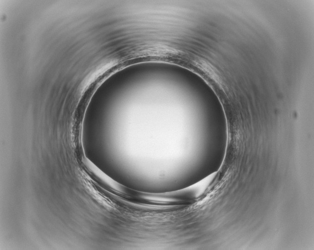 X0000088051026200705111301
