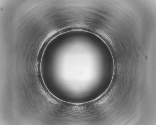 X0000088051029200705111301