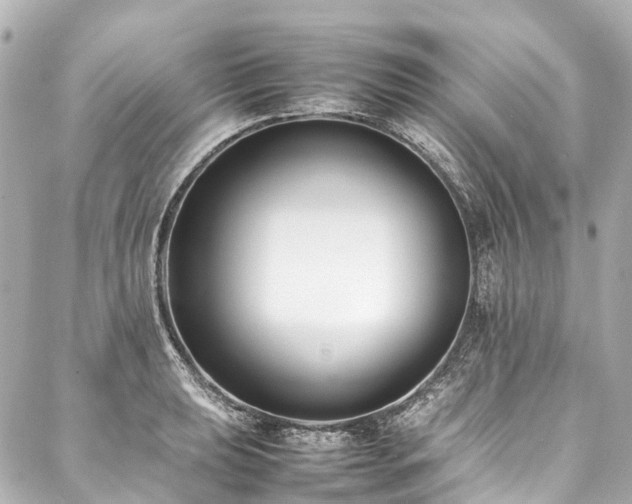 X0000088051039200705111302