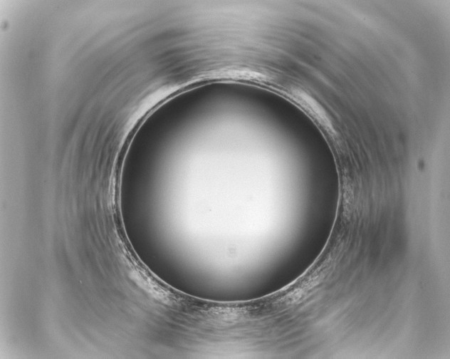 X0000088051044200705111302
