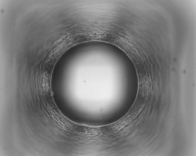 X0000088051058200705111301