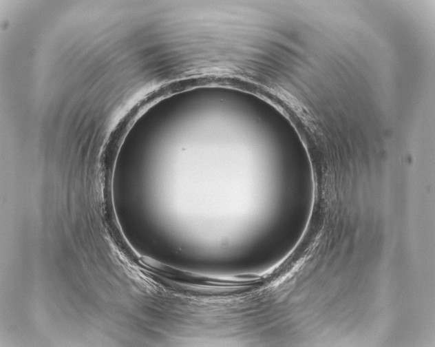 X0000088051118200705111300