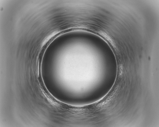 X0000088051127200705111300