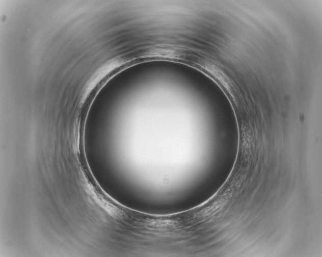 X0000088051131200705111300