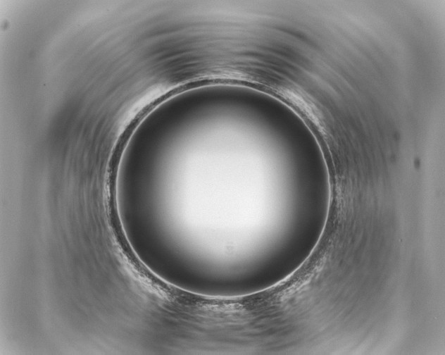 X0000088051133200705111300