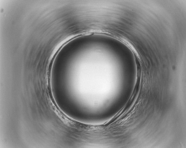 X0000088051148200705111300