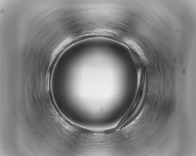 X0000088051180200705111259
