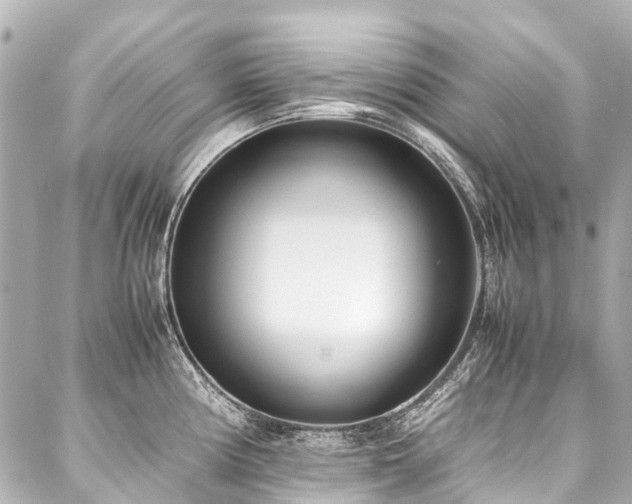 X0000088051194200705111259