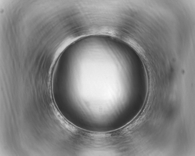 X0000088051200200705111259