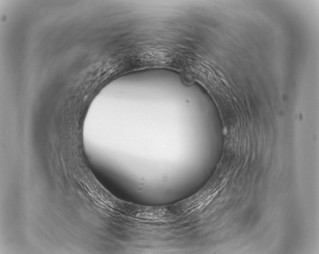 X0000088051201200705111258