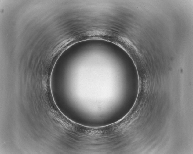 X0000088051217200705111258
