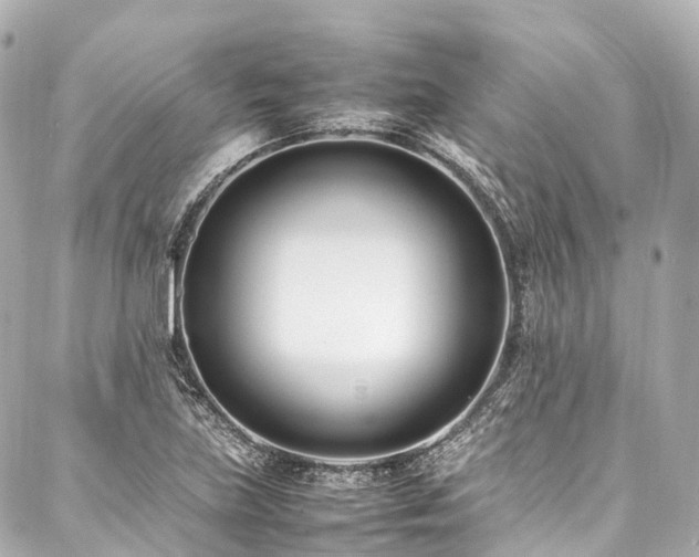 X0000088051219200705111258